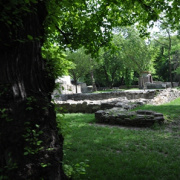 DSC_0968.jpg