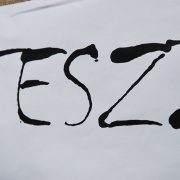 NID-2522_534378.JPG