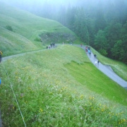 NID-2538_P1120305.JPG