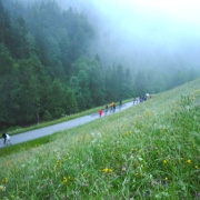 NID-2538_P1120308.JPG