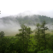 NID-2538_P1120333.JPG
