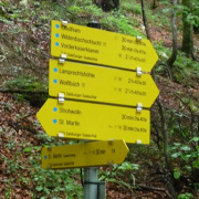NID-2538_P1120352.JPG