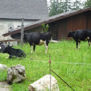 NID-2538_P1120379.JPG