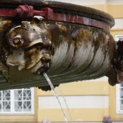 NID-2538_P1120612.JPG