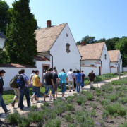 NID-2556_2012b-osztkir-005.jpg