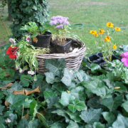 NID-2543_piknik00021.JPG