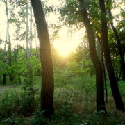 NID-2543_piknik00025.JPG