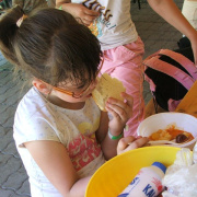 NID-2572_napkozis_tabor115.JPG