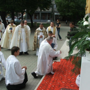NID-2573_urnapja31.JPG