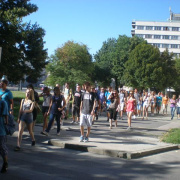 NID-2592_golyatabor007.JPG