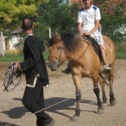 NID-2592_golyatabor181.JPG