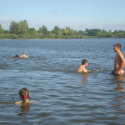 NID-2592_golyatabor242.JPG