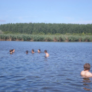 NID-2592_golyatabor244.JPG