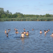 NID-2592_golyatabor262.JPG