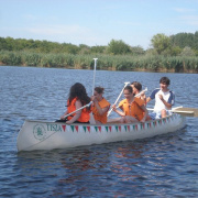 NID-2592_golyatabor294.JPG