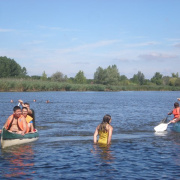 NID-2592_golyatabor354.JPG
