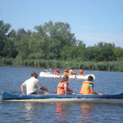 NID-2592_golyatabor378.JPG