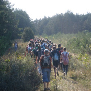 NID-2674_zarandoklat024.JPG