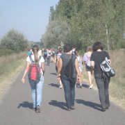 NID-2674_zarandoklat278.JPG