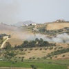NID-2752_NID-2752_Del_Olaszorszag00273.JPG