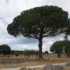 NID-2752_NID-2752_Del_Olaszorszag00469.JPG