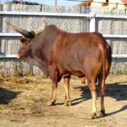 NID-2959_kerekpartura42.JPG