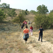 NID-3037_DSCF5806.JPG