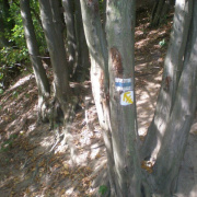 NID-3040_kirandulas00105.JPG