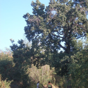 NID-3040_kirandulas00267.JPG