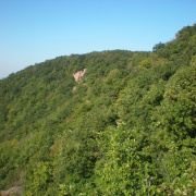 NID-3040_kirandulas00359.JPG