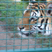 NID-3044_DSCF5900.JPG