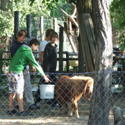 NID-3044_DSCF5914.JPG
