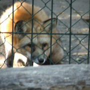 NID-3044_DSCF5928.JPG