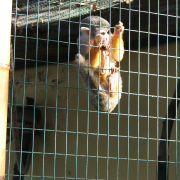 NID-3044_DSCF5936.JPG