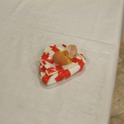 NID-3073_DSCF6433.JPG
