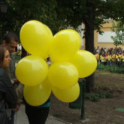 NID-3051_narcisz-03.jpg