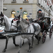 NID-3157_advent_Becsben 081.JPG