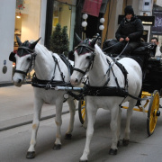 NID-3157_advent_Becsben 118.JPG
