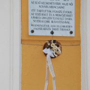 kosarlabda 001.JPG