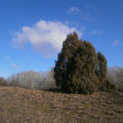 NID-3210_P1140074.JPG