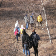 NID-3210_P1140093.JPG
