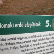 NID-3210_P1140108.JPG