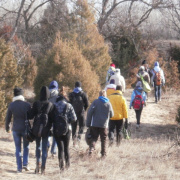 NID-3210_P1140119.JPG