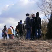 NID-3210_P1140128.JPG