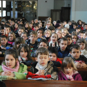 hamvazoszerda060.JPG