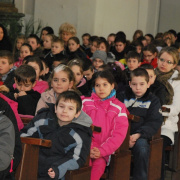 hamvazoszerda070.JPG