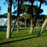 NID-3282_Roma00222.JPG
