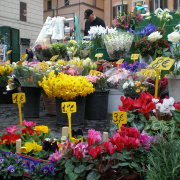 NID-3282_Roma00633.JPG