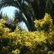 NID-3302_DSCF0132.jpg