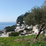 NID-3302_DSCF0133.jpg